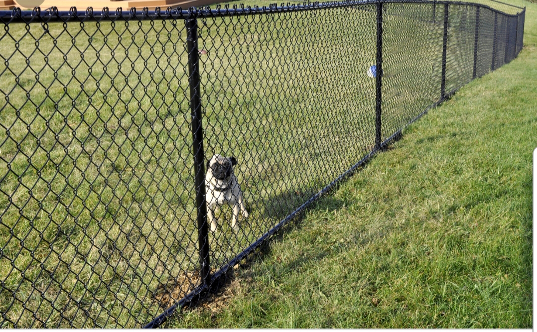 Chain Link Fence Installation in Las Vegas, NV